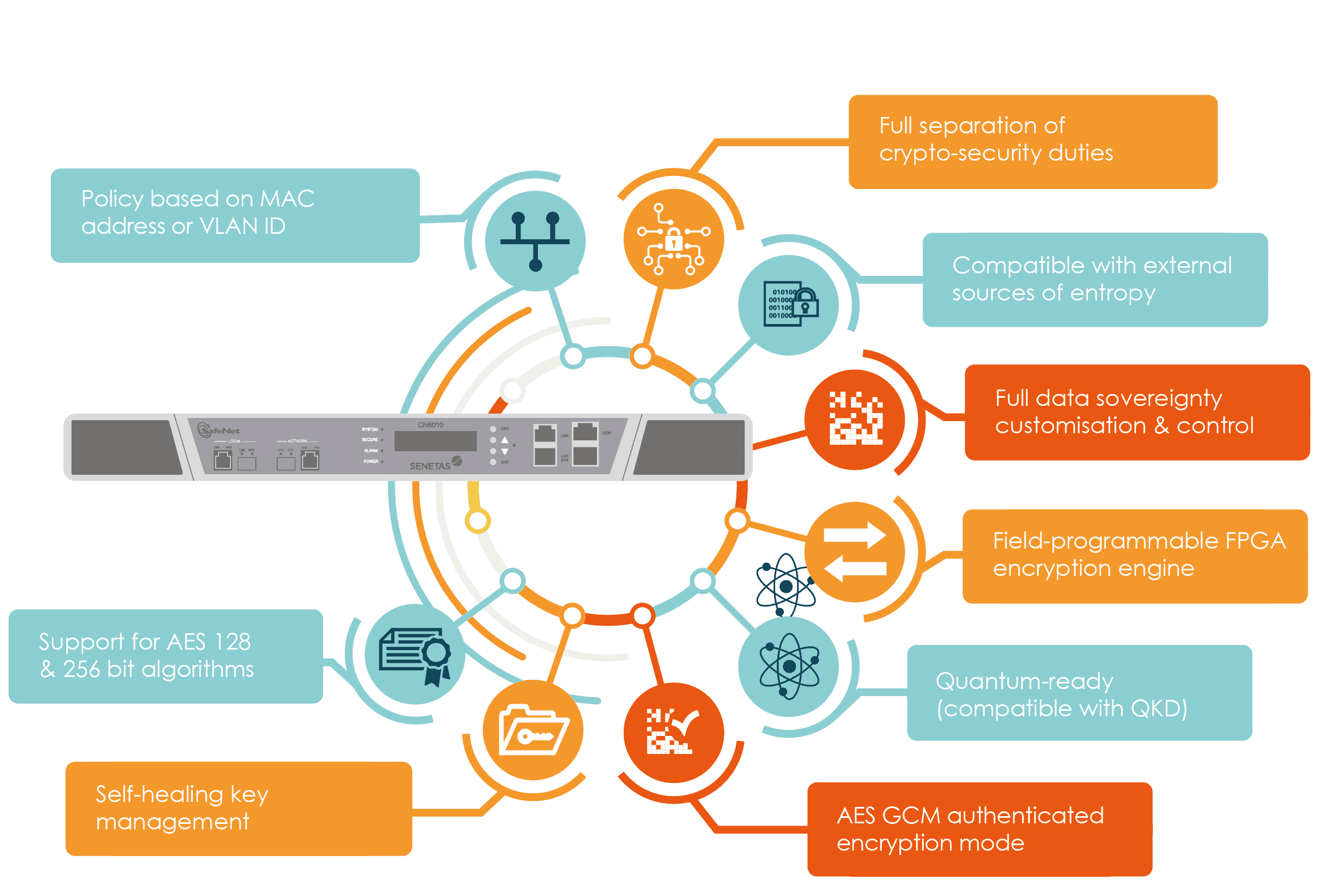 Cryptographic agility shown in an infographic with CN series encryptor shown