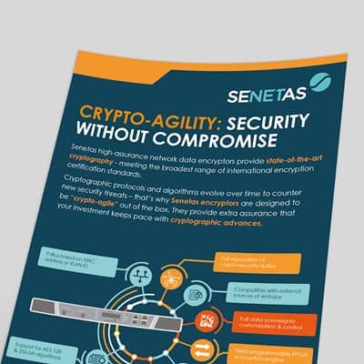 Crypto Agility Security Without Compromise Infographic