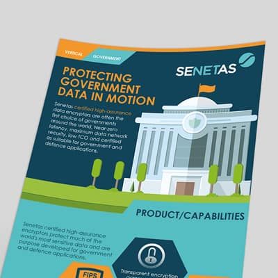 Protecting Government Data in Motion Infographic