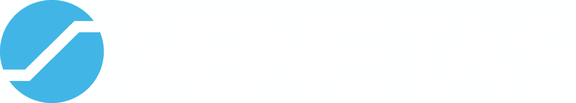 Senetas Logo